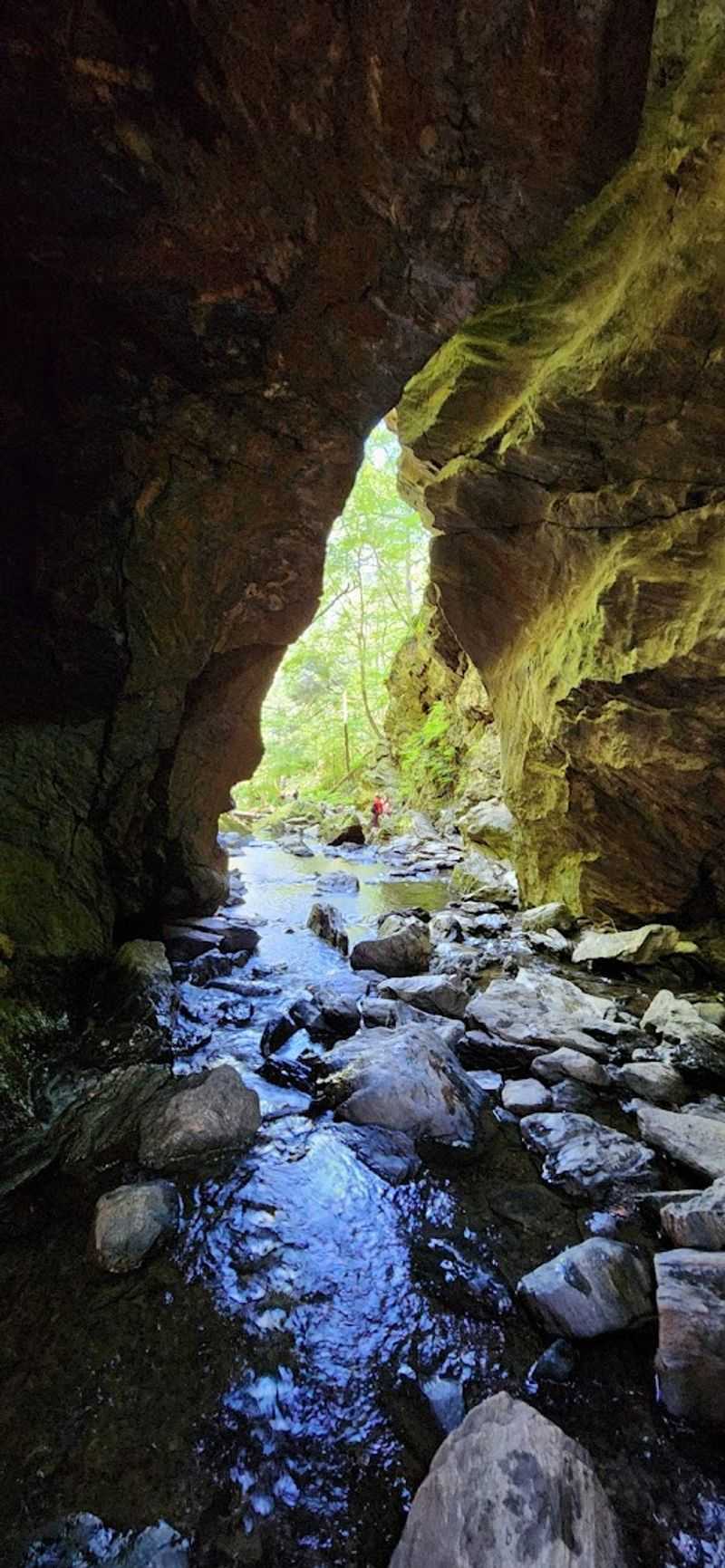 Inside The Cave That Earned Its Cathedral Name