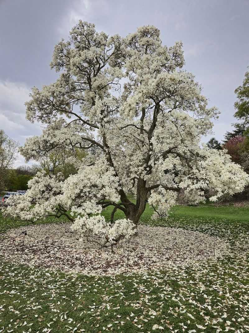 Practical Visitor Information Worth Knowing Before You Go