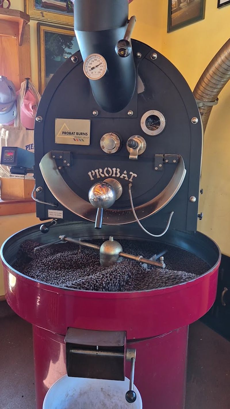 Fresh-Roasted Coffee That Wakes Up The Whole Room