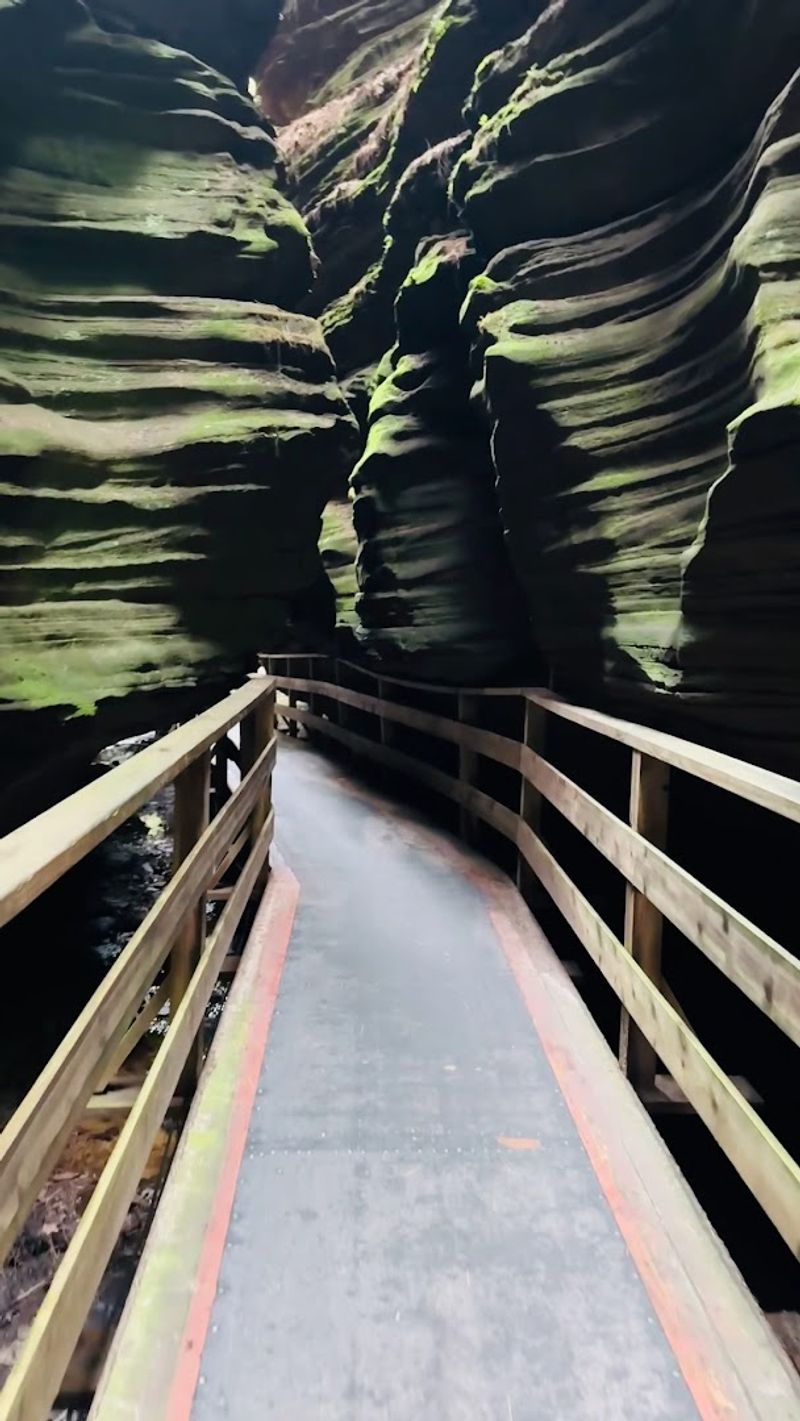What The Boardwalk Trail Actually Feels Like