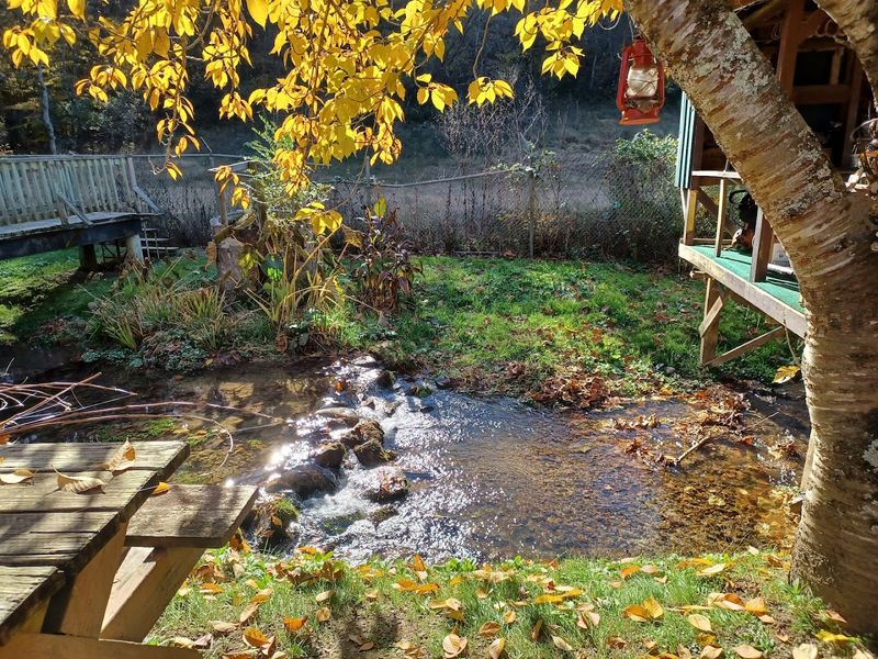 The Atmosphere And Setting Around The Ponds
