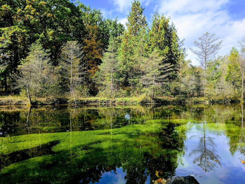 Free To Enter And Easy To Enjoy