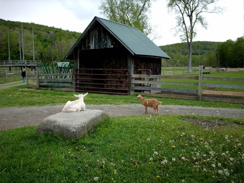 Why This Park Deserves A Spot On Your Upstate New York Itinerary