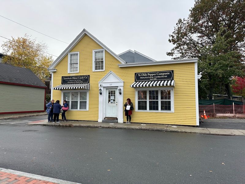 Best Times To Visit And What To Expect On Busy Days