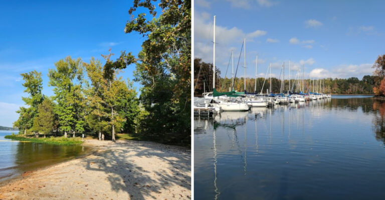 The Stunning Lake Beach In Tennessee You’ll Want To Visit This Spring