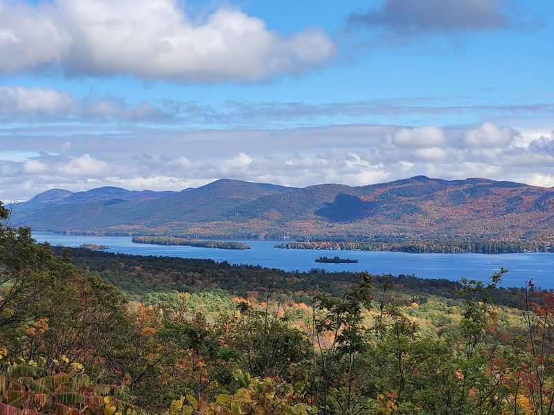 Forest Character Changes As You Climb Higher