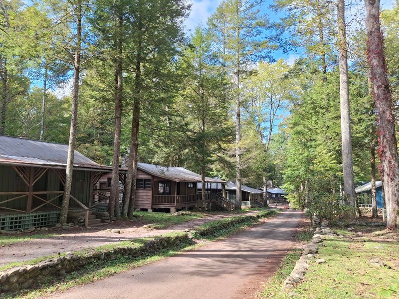 Walking Through Daisy Town And What You Will Actually Find