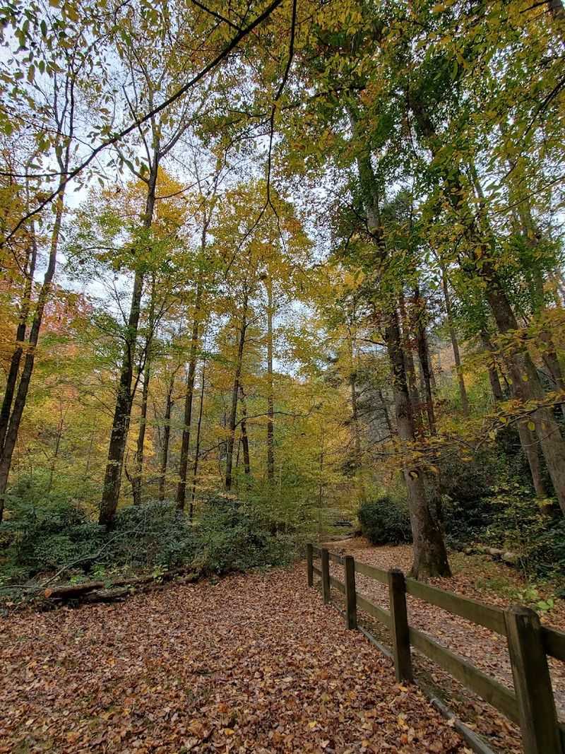 The Road That Prepares You For Everything Ahead