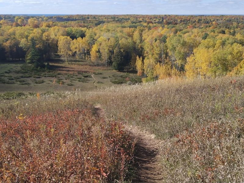 Wildlife And Birdwatching Opportunities Are Common