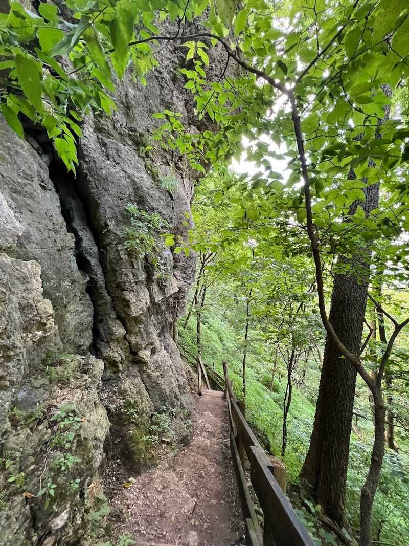Moss-Covered Rock Walls Give The Trail A Magical Feel