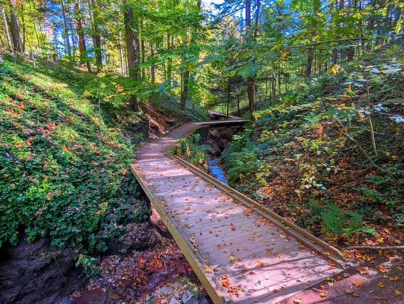 Free To Visit And Worth Far More Than The Price Of Admission