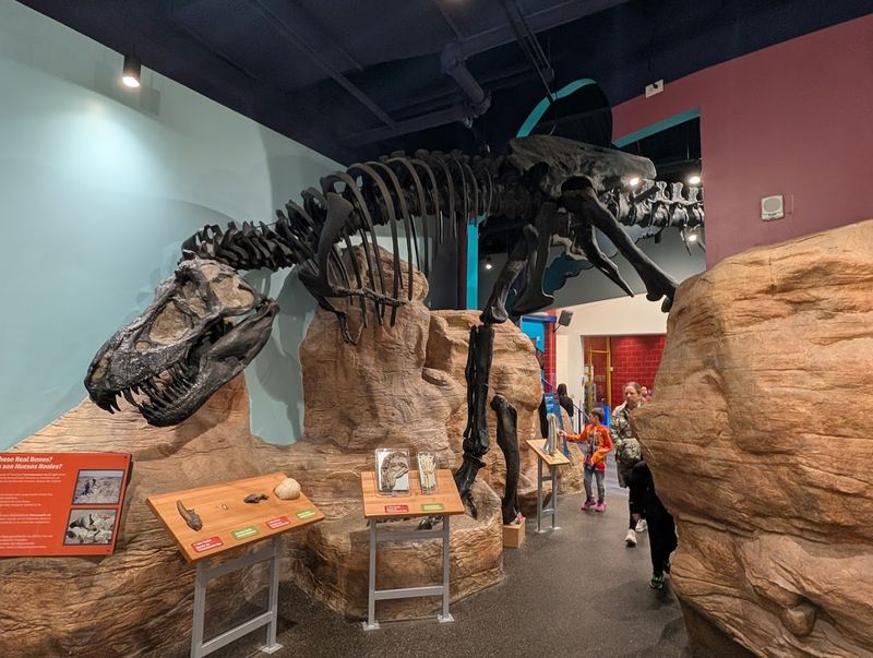 Rotating Exhibits That Keep Every Return Visit Fresh