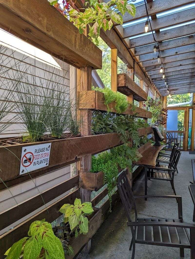 Vegetarian And Vegan Options Worth Knowing About