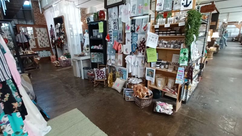 Pet-Friendly Policies And The Practical Details Worth Knowing