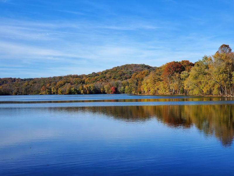 Fall Colors That Transform Every Trail