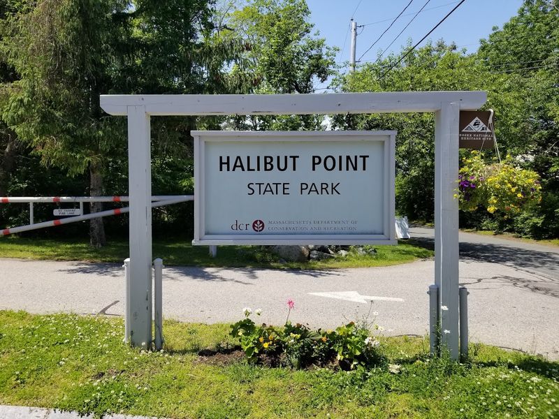 Parking, Fees, And Everything You Need Before You Arrive