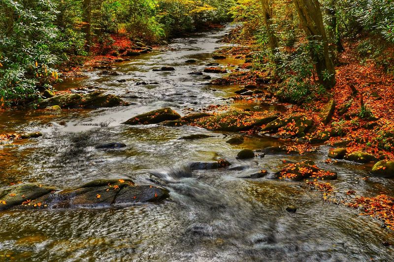 Fall Foliage And Seasonal Beauty That Shifts The Entire Mood Of The Park