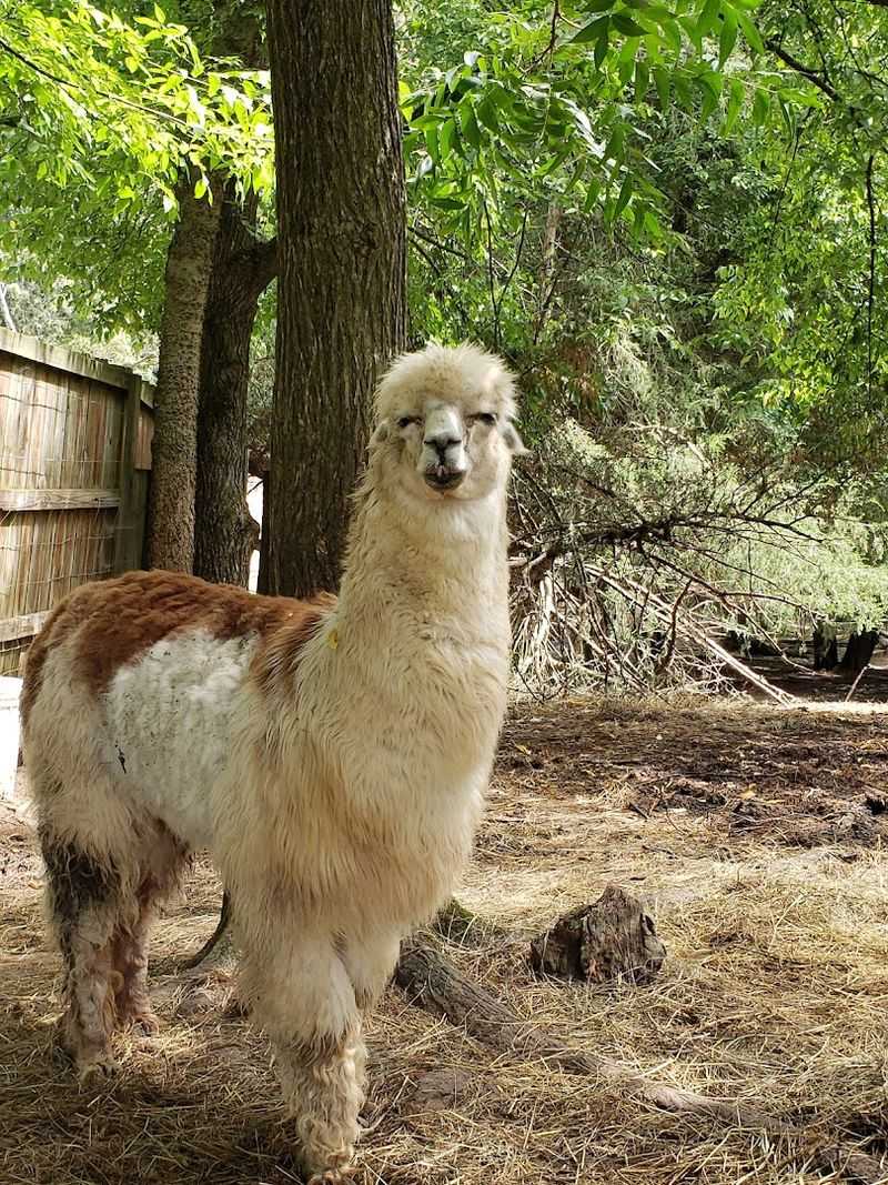 What To Expect When You Arrive And Buy Tickets