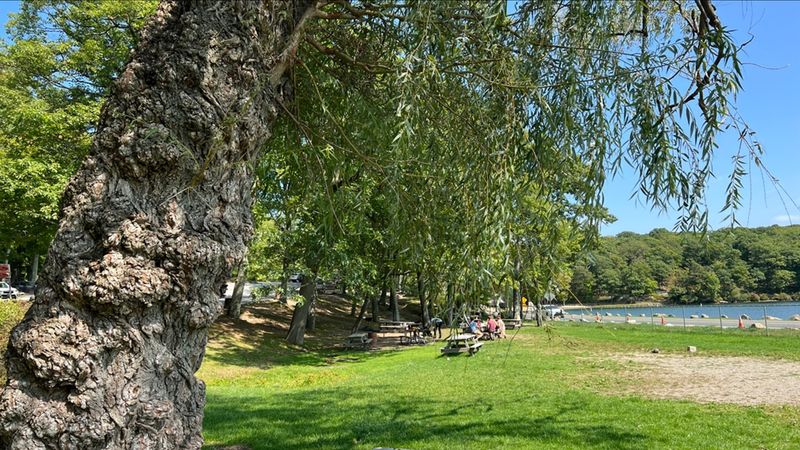 Picnic Areas, Grills, And The Art Of A Proper Outdoor Meal