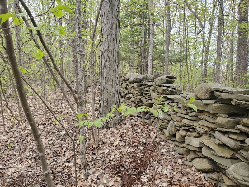 Stone Walls And The Quiet History Hidden In Plain Sight