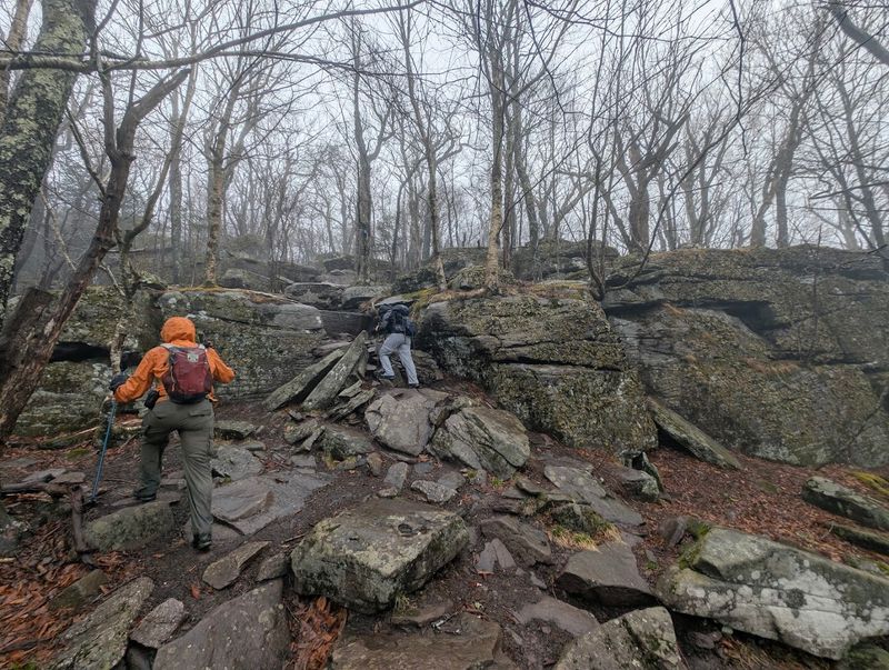 Why Giant Ledge Trail Belongs On Your New York Hiking List