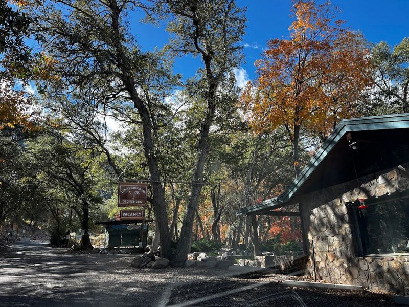 Why Bird Lovers Keep This Place On Their Radar