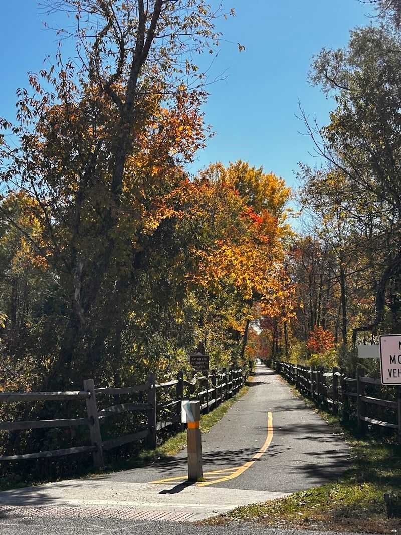 Fall Colors That Turn A Great Trail Into An Unforgettable One