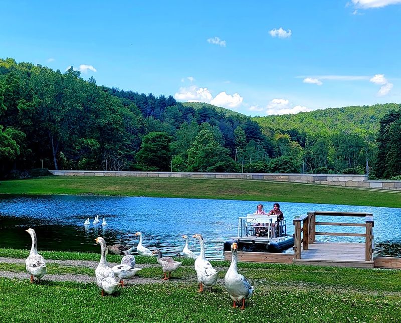 Paddling The Pond Is A Quiet Highlight Worth Savoring