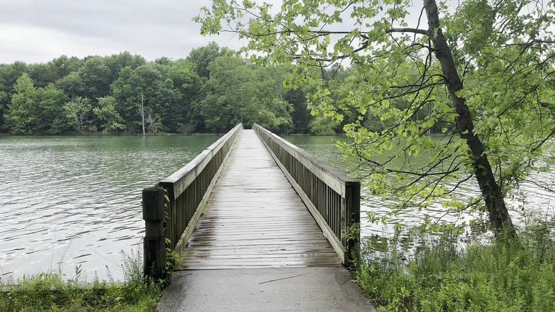 Why long Hunter Deserves More Recognition