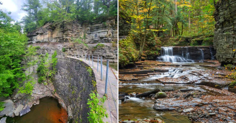 These 12 New York Nature Trails, Meadow And Wildflower Walks Are Perfect For An April Escape