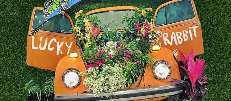 Pop Culture Displays And Photo Opportunities That Stop You Cold