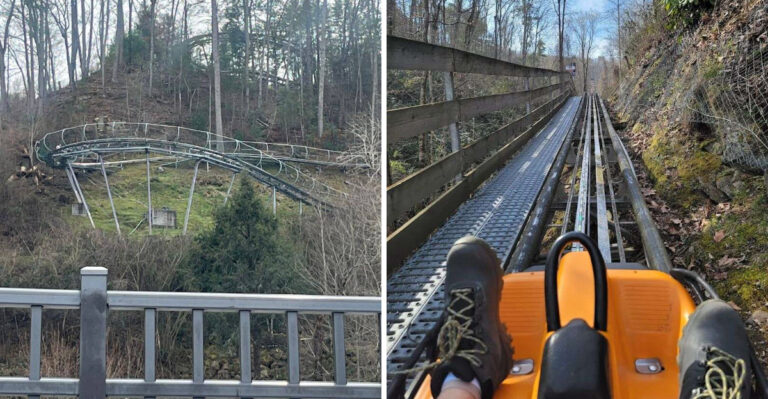 This Adrenaline-Pumping Mountain Coaster In Tennessee Will Bring Out The Thrill Seeker In You