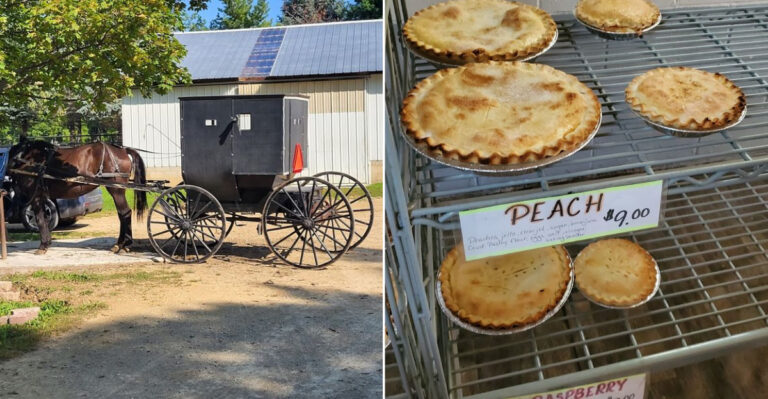 This Amish Bakery In Wisconsin Has Homemade Pies You’ll Be Thinking About All Day