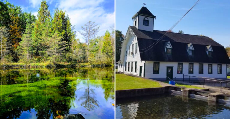 This Breathtaking Spring In New York Feeds A Historic Fish Hatchery And Looks Almost Too Beautiful To Be Real
