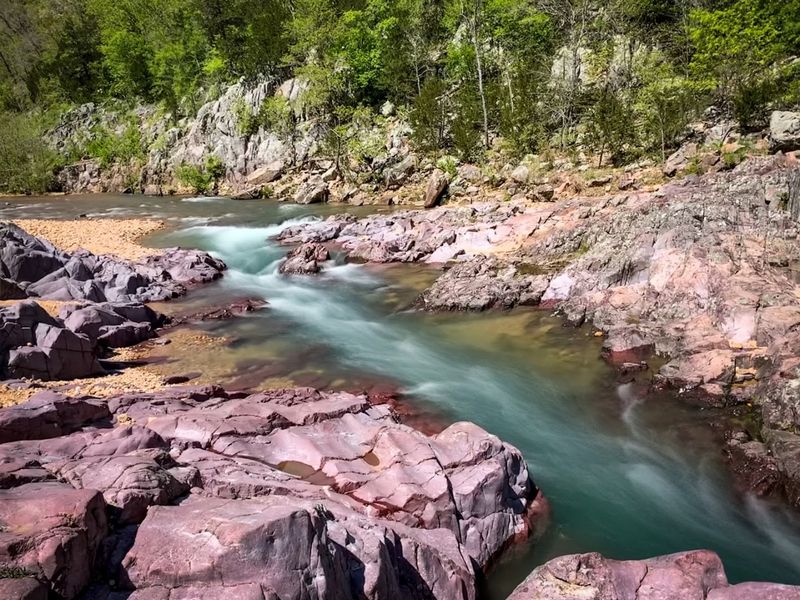 Water Clarity And Ecosystem Balance