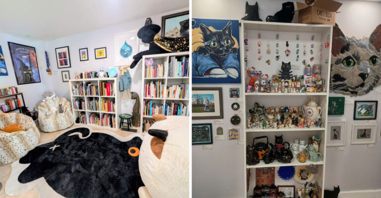 This Curiously Odd Cat Museum In Massachusetts Is Too Weird For Words