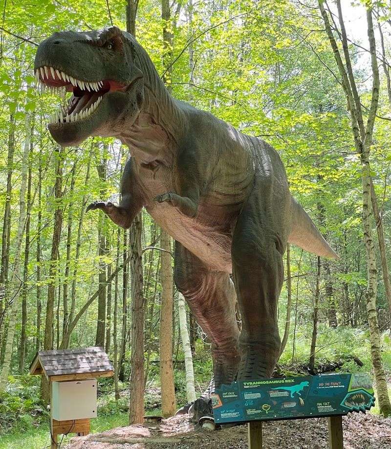 A Forest Where Prehistoric Giants Come To Life