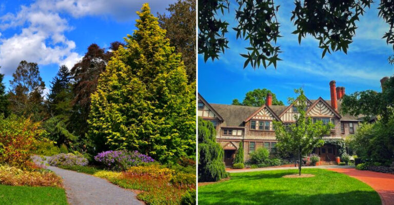 This Dreamy Arboretum In New York Is So Beautiful, It Feels Like A Claude Monet Painting
