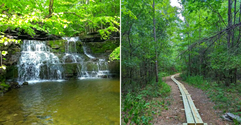 This Easy 1.8-Mile Forest Trail In New York Will Lead You Past A Series Of Hidden Waterfalls