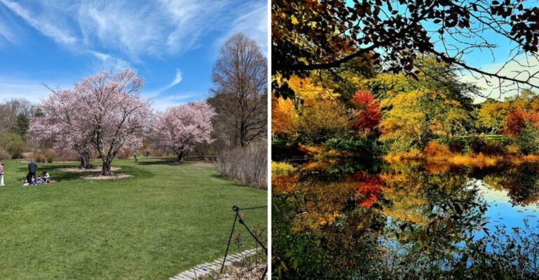 This Enchanting Arboretum In Massachusetts Is So Stunning, It Looks Like A Claude Monet Painting