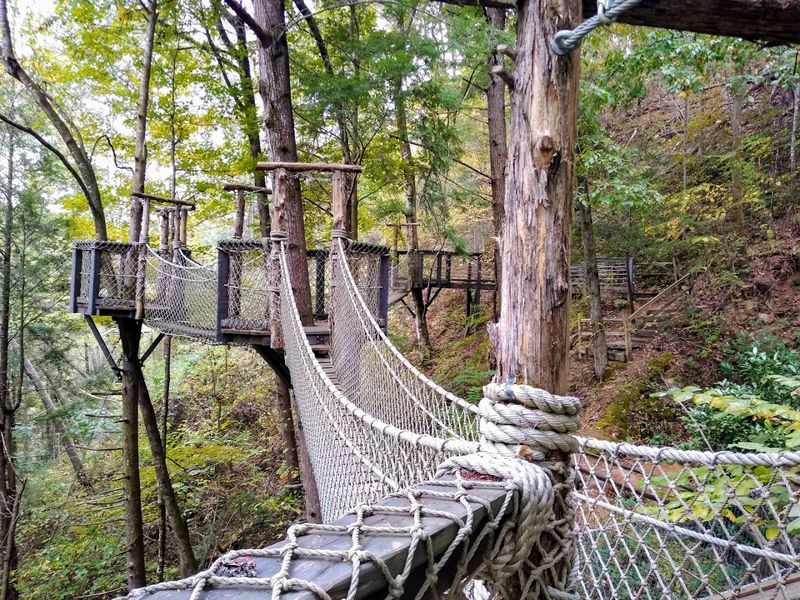 Foxfire Adventure Park, Sevierville