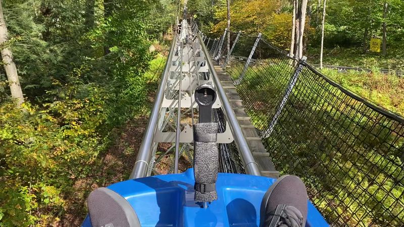 The Mountain Coaster Experience At A Glance