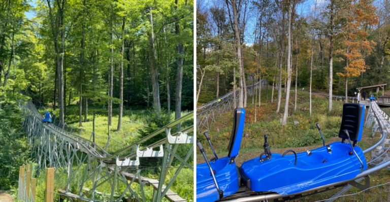 This Exciting Mountain Coaster In Massachusetts Will Appeal To The Adventure Lover In You