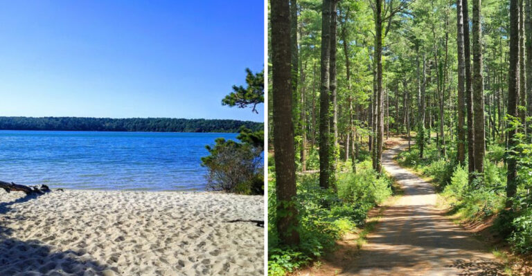 This Gorgeous State Park In Massachusetts Will Have You Feeling Like You’re In A Postcard