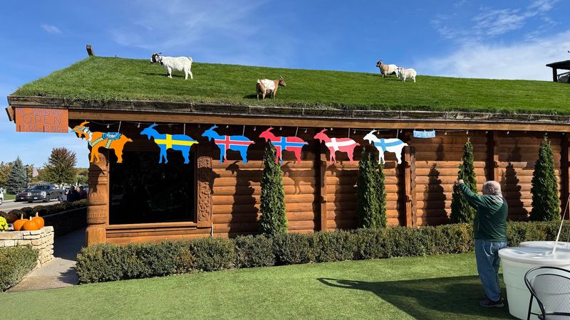 Real Goats Actually Live On The Grass Roof