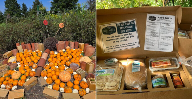 This Illinois Mennonite Bakery Quietly Serves Pies That Keep Road Trippers Coming Back For More
