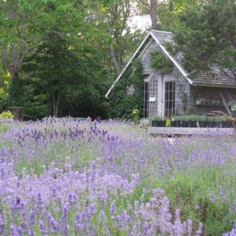 A Farm With Deep Roots And A Thirty-Year Story