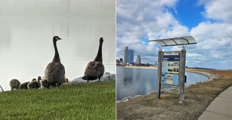 This Little State Park In Wisconsin Feels Like A Quiet Escape In The Middle Of Milwaukee