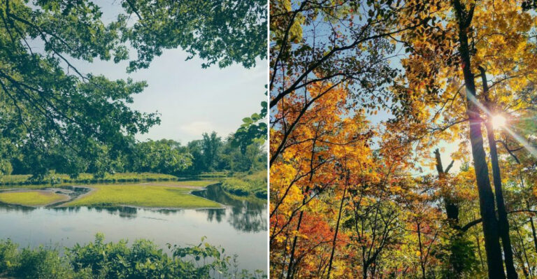 This Michigan Hidden Spot Is Free To Visit But Rarely Crowded