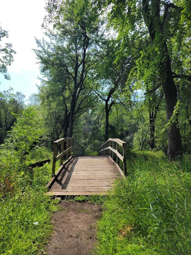Exploring Scenic Trails Around The Lake